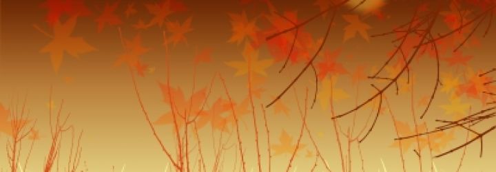 Forgiveness: Prescription for Health and Happiness