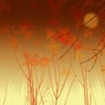 Forgiveness: Prescription for Health and Happiness